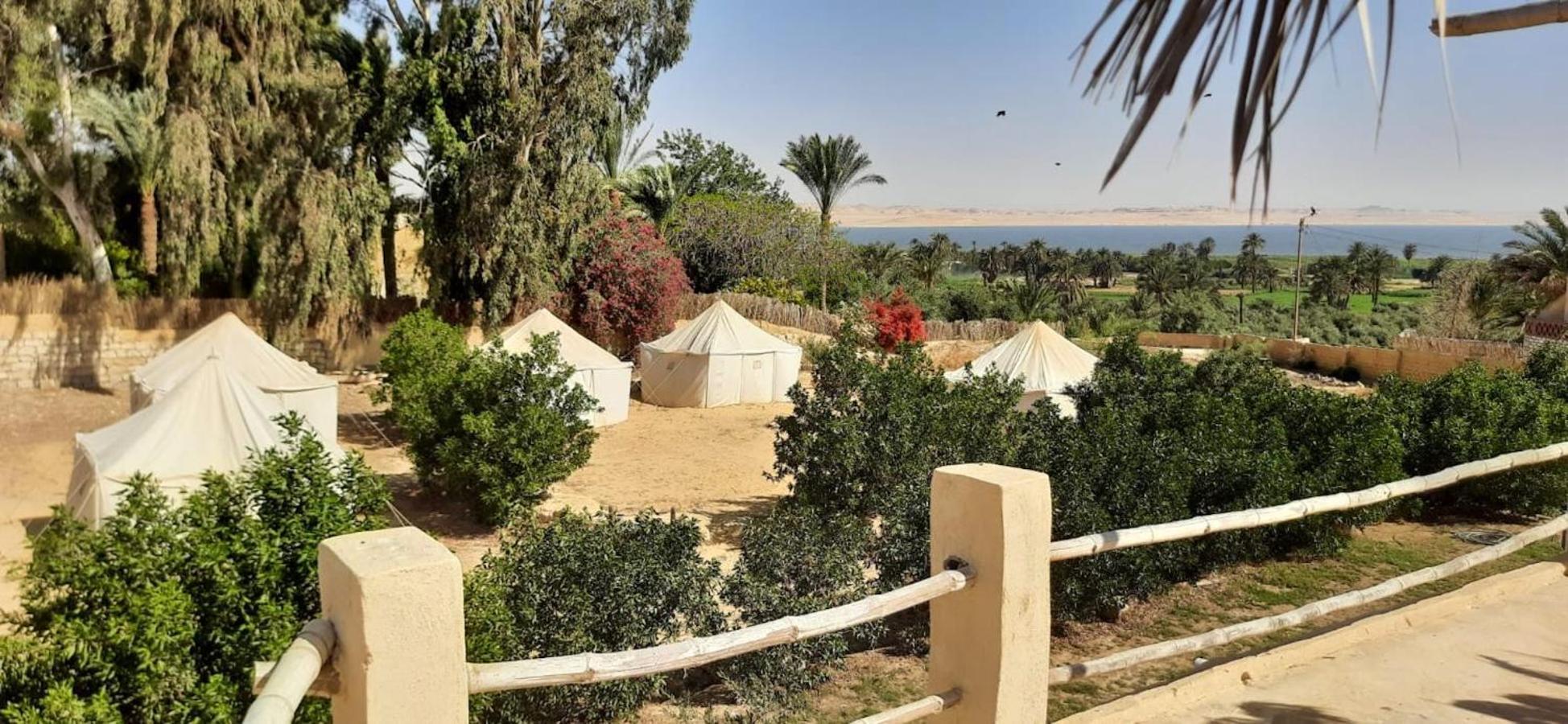 Tunis Village El-Al Fayyūm Eksteriør billede
