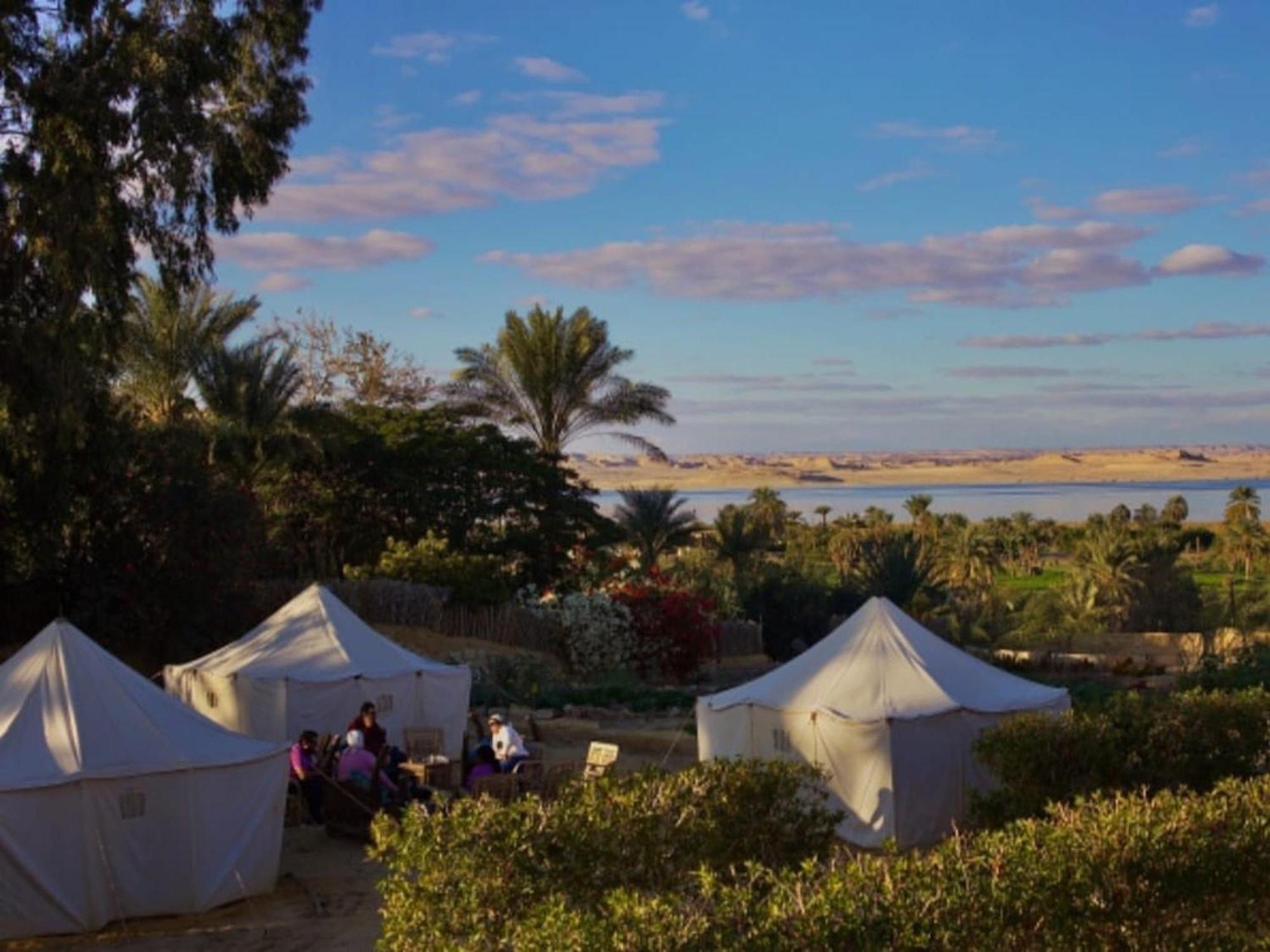 Tunis Village El-Al Fayyūm Eksteriør billede